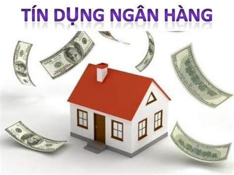 tổ chức tín dụng là gì