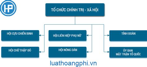 tổ chức xã hội nghề nghiệp là gì