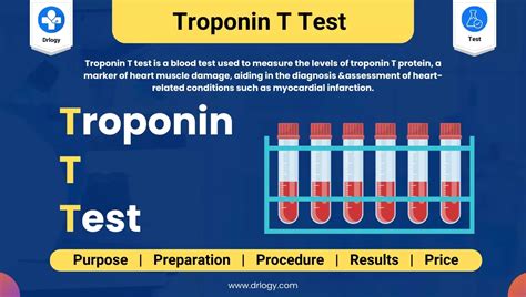Unlocking Health Secrets: What Does a T Protein Lab Test Reveal?