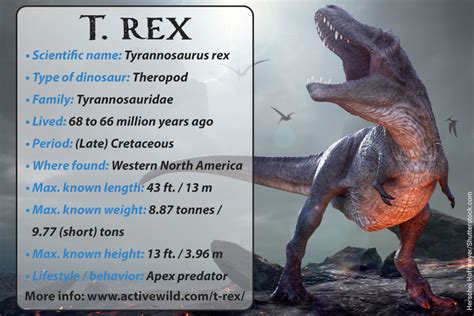 t rex appearance facts for kids