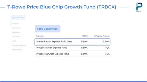 t rowe blue chip growth fund