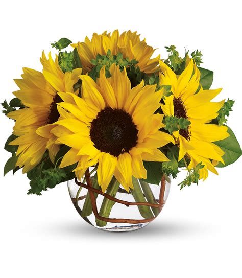 t152-2a sunny sunflowers bouquet