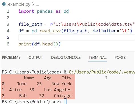 Tab Delimiter Python