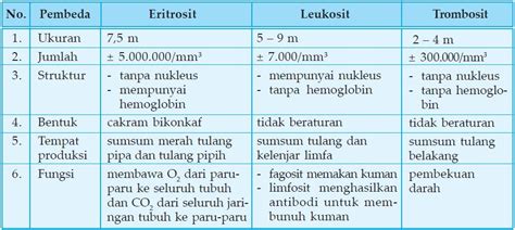 Tabel Perbedaan Eritrosit, Leukosit, dan Trombosit