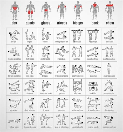 Tabla Ejercicios Musculación Dibujos