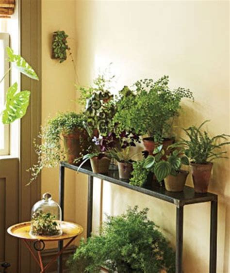 Plantable beautiful table with plants Ideas for Home Garden Bedroom