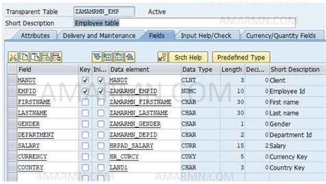 Table Example In Abap