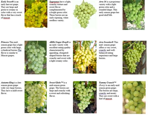 Table Grape Differences