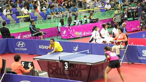 table tennis at the 2014 asian games