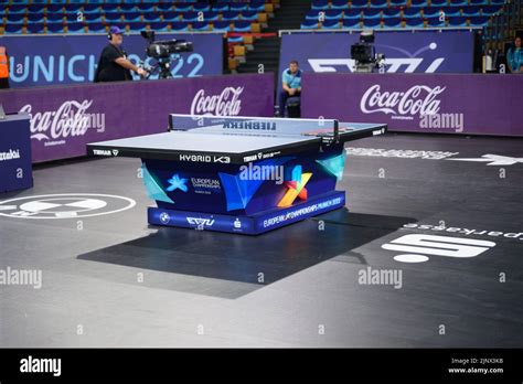 Table Tennis Table Germany