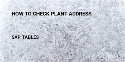 table to check address in sap