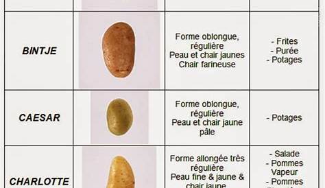 Plants de pommes de terre : quelles variétés choisir ? - Hermie.com