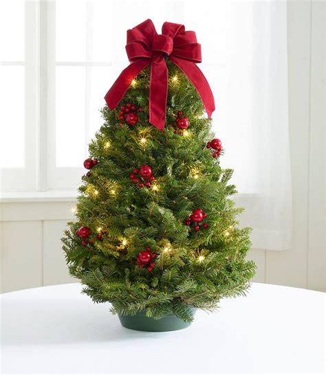 Tabletop Christmas Tree Llbean