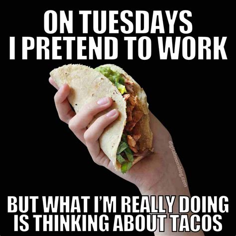 15 Happy Tuesday Memes Best Funny Tuesday Memes