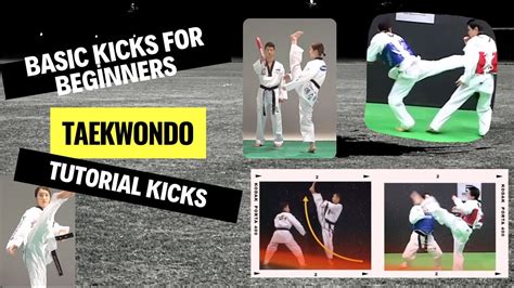 Taekwondo Basic Kicks Tutorial