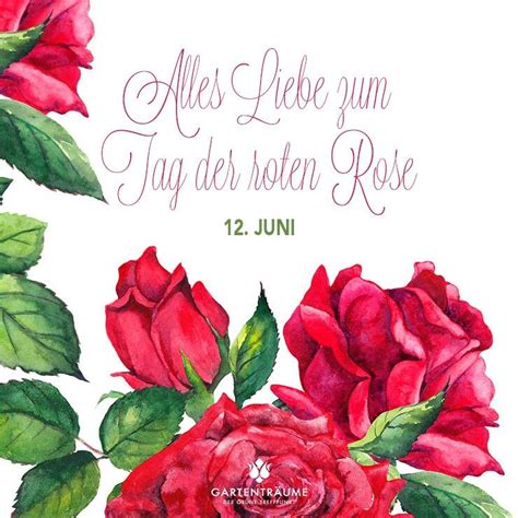 tag der rose 2023