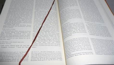 Tagesevangelium – Lesung – Worte zum Tag | katholisch-informiert.ch