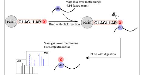 Tagging Definition Chemistry
