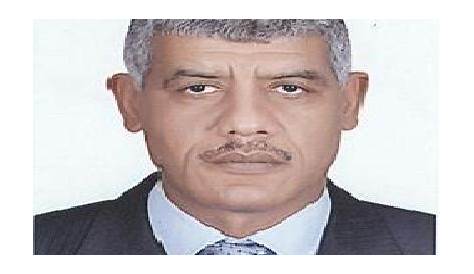 Mohamed TAHER | Associate Professor | PhD | Mansoura University, Al