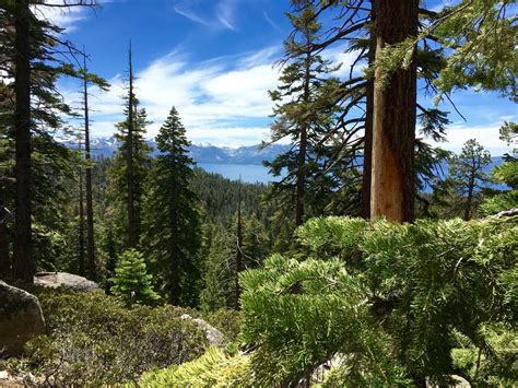 Kingsbury North & the Finish of ThruHiking the Tahoe Rim Trial Day