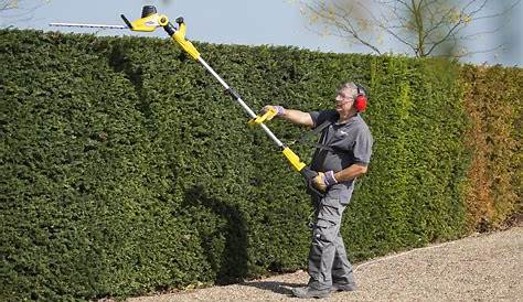 Taille Haie Telescopique Bosch UniversalHedgePole haies Télescopique Sans