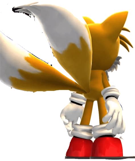 tails from the backside