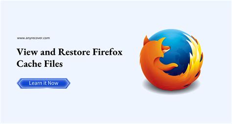 take in the Cache in Firefox