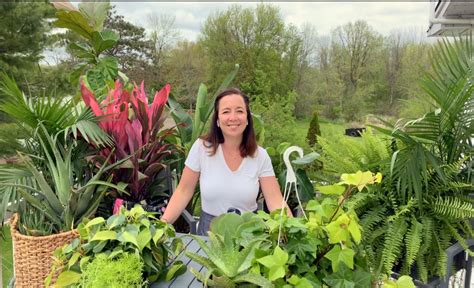 Taking Indoor Plants Outside