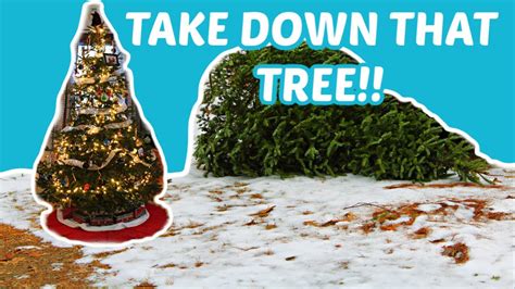 Taking Xmas Tree Down Early