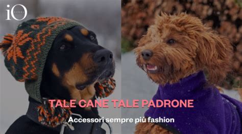 Topics Tale Cane Tale Padrone Updated