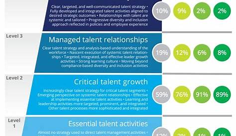 Talent Management Maturity Model Bersin Designing The Experience For Better Business