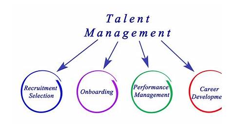 Model of Talent Management for University