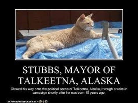 talkeetna alaska mayor stubbs
