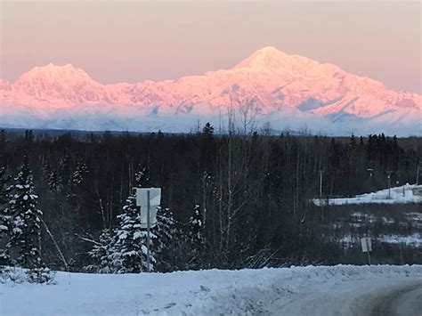 Talkeetna Trader