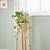 tall plant stand