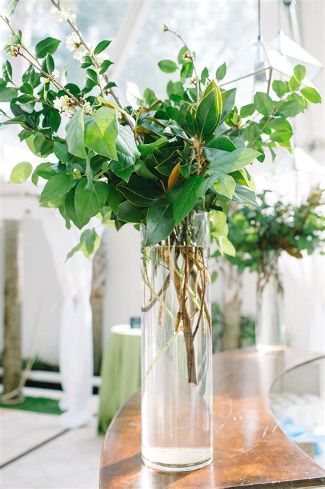 tall branches for vases