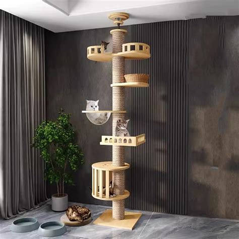Tall Cat Trees Amazon
