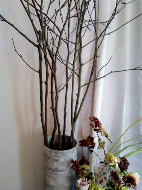Tall Vase Branches