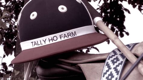 tally ho farm shop