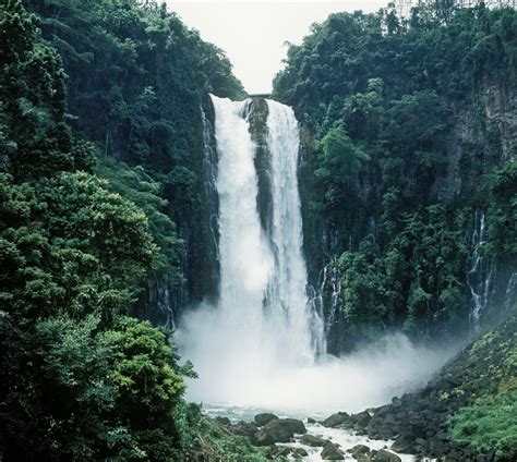 Talon sa Perak: Ang Kamangha-manghang Lakad sa Maganda at Natatanging Kalikasan