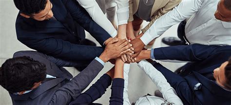 Tamadoge Partnerships and Collaborations