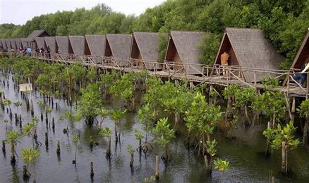 taman wisata alam mangrove angke kapuk
