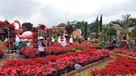 taman bunga maribaya