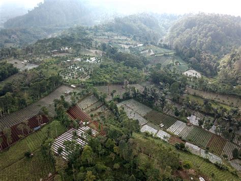 taman buru di indonesia