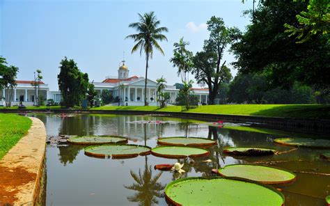 Taman Fotografi di Kebun Raya Bogor