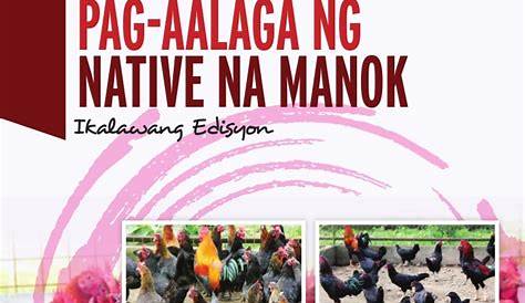 NATIVE NA MANOK: TAMANG PAG AALAGA NG MANOK NA NATURAL - Manigo Agri