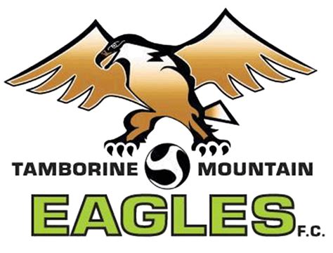 tamborine mountain eagles soccer club