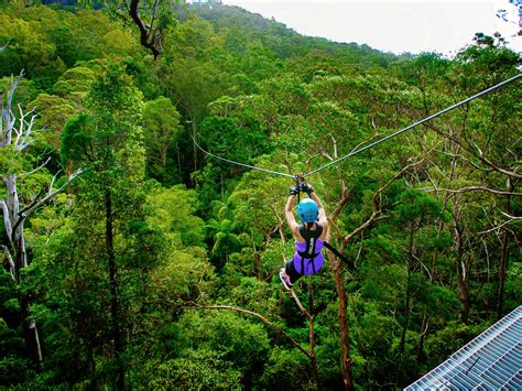 Tamborine Mountain Zip Wire