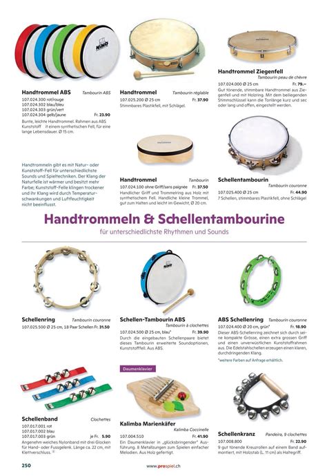 Tambourine Instrument Classification