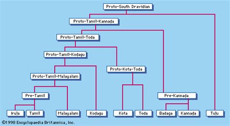 Tamil Language Tree